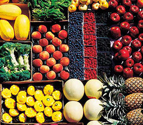 nutrition